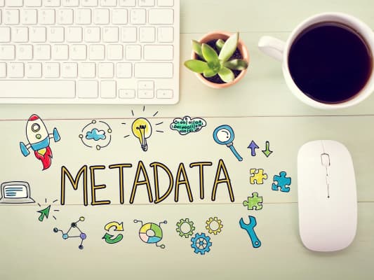 Hình 1: Metadata tốt là một trong những cách SEO web hiệu quả