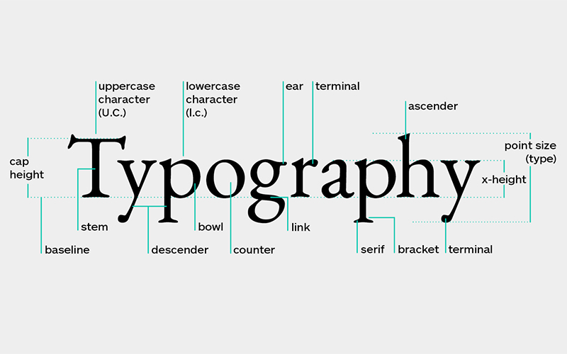Hình 1: Typography là một yếu tố quan trọng trong các mẫu thiết kế